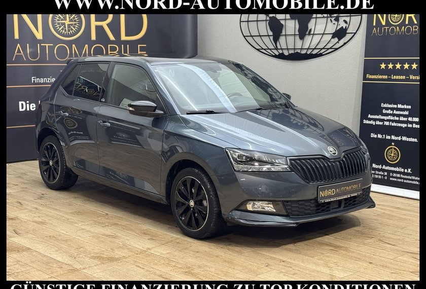 Skoda Fabia Fabia Monte Carlo 1.0 TSI LED/Pano/PDC/SHZ