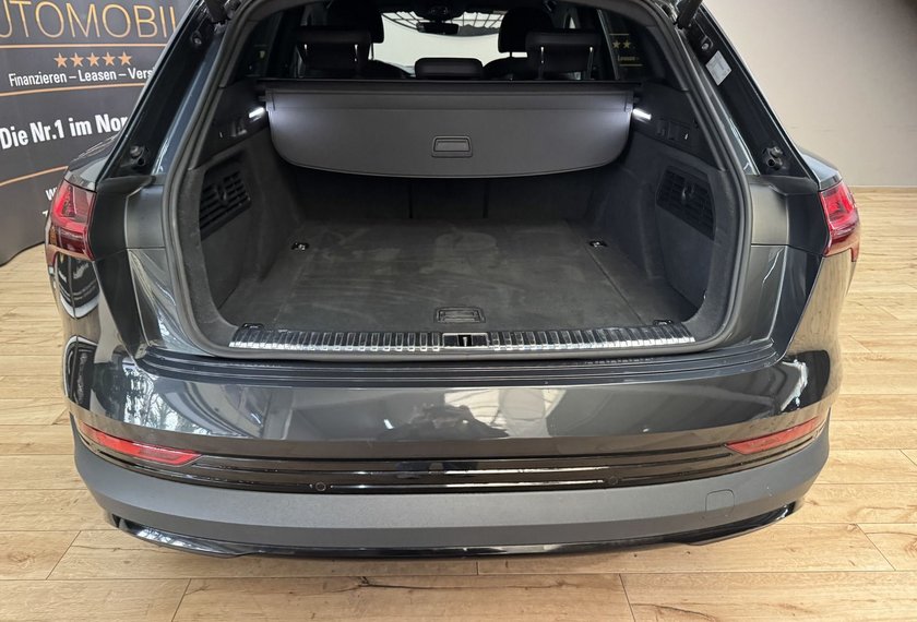 Audi e-tron e-tron 50 QU.Teilleder/Matrix/B&amp;O/ACC/Kamera
