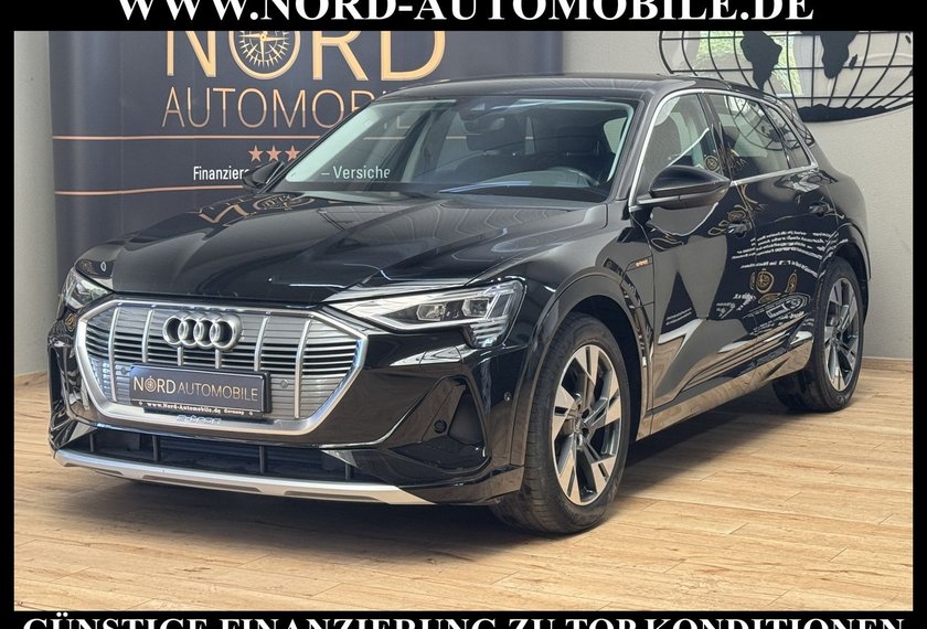 Audi e-tron e-tron 55 S-Line QU. Leder/Matrix/Kamera/20