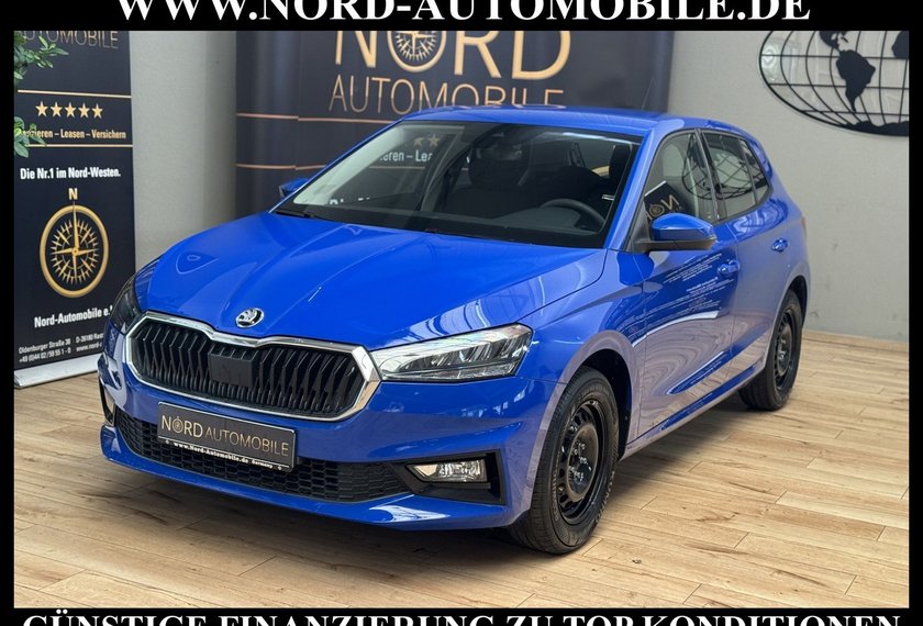 Skoda Fabia Fabia Active 1.0 MPI LED/Spurhalte/Klima/PDC