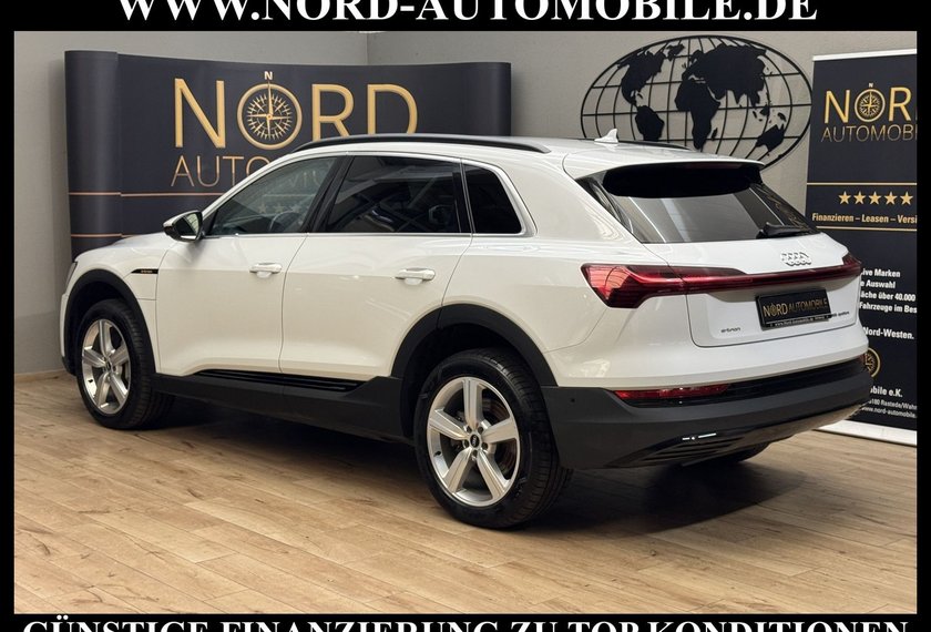 Audi e-tron e-tron 55 QU.Teilleder/Navi/LED/Side&amp;Lane/20