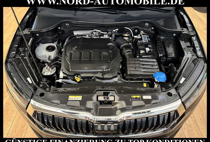 Skoda Karoq Karoq 2.0 TDI Style DSG Kamera/Virt.Cockpit/Navi