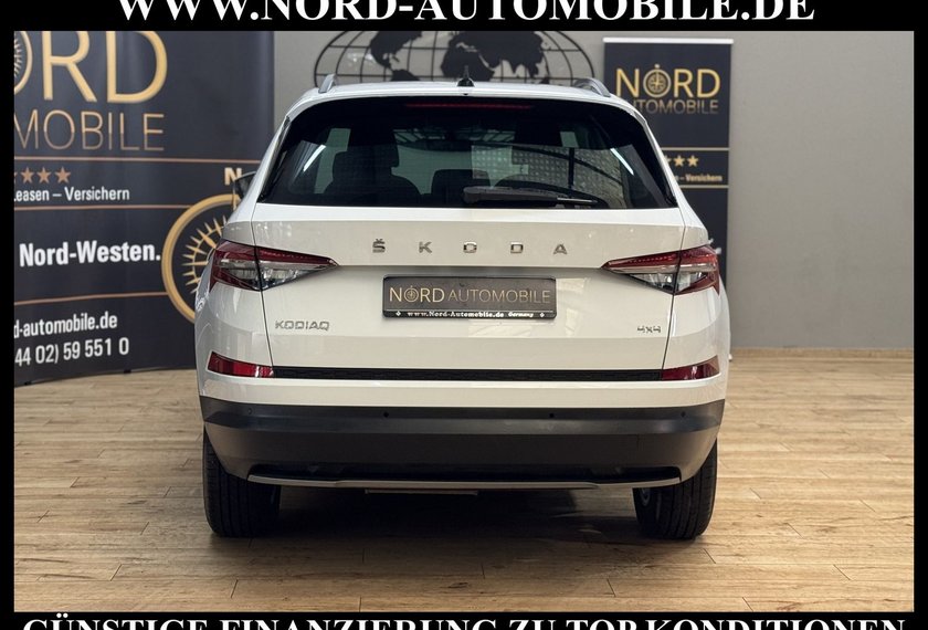 Skoda Kodiaq Kodiaq 2.0 TDI Ambition 4x4 DSG StHz/Pano/LED/
