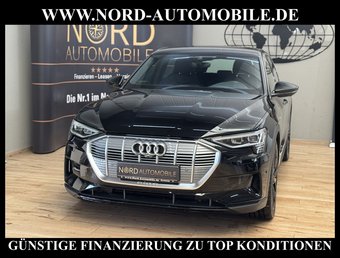 Audi e-tron e-tron 50 QU.S-Line Teilleder/AHK/21/Kamera/