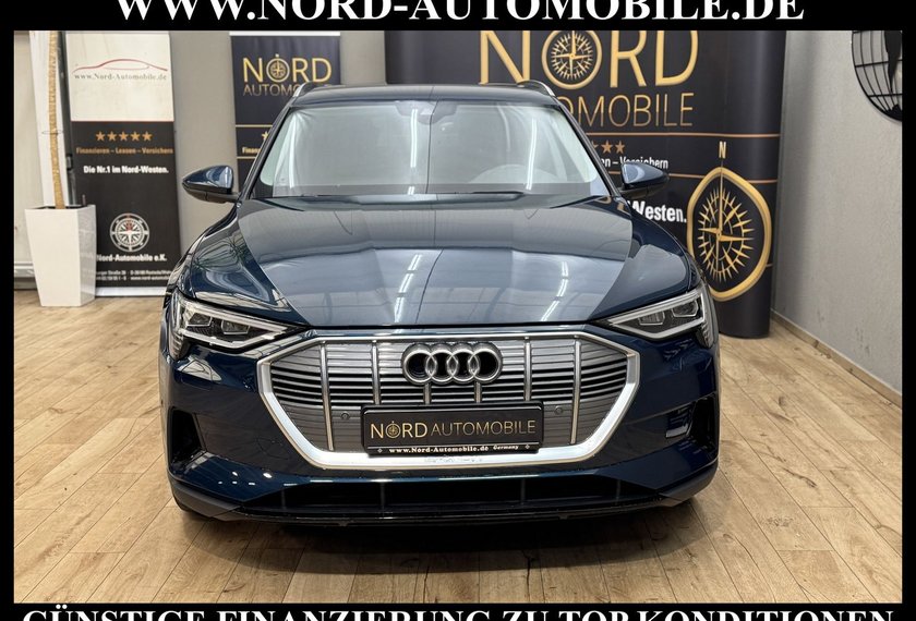 Audi e-tron e-tron qu. Automatik Teilleder/Kamera/20