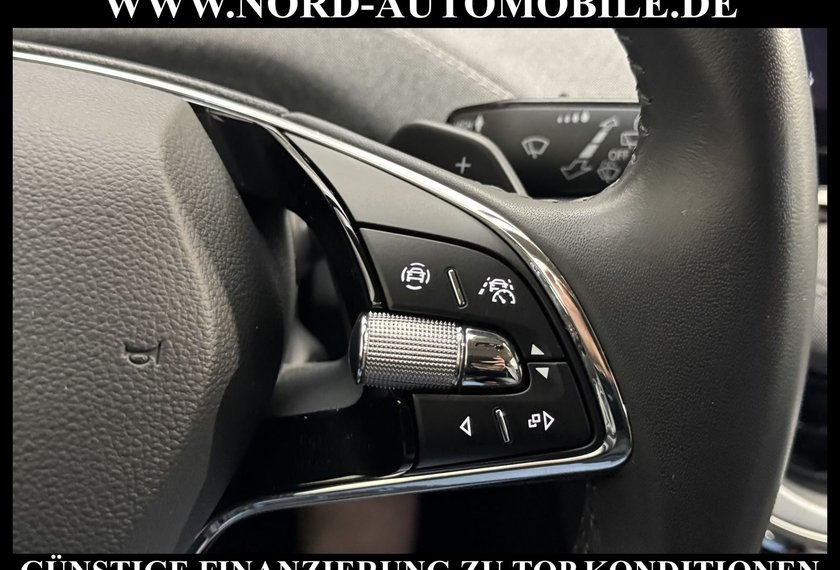 Skoda Enyaq Enyaq iV 60 Loft Kamera/20/Matrix/Wärmepumpe