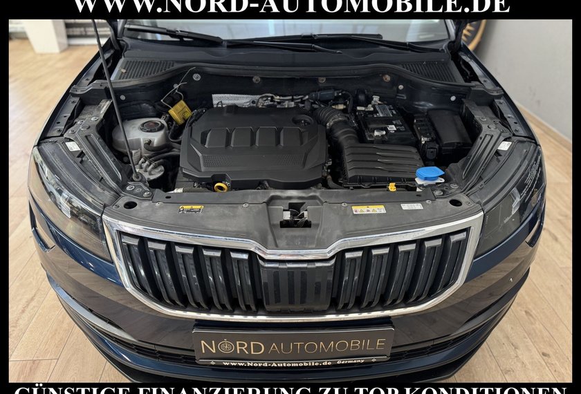 Skoda Karoq Karoq Ambition 2.0 TDI DSG Navi/PDC/SHZ/17