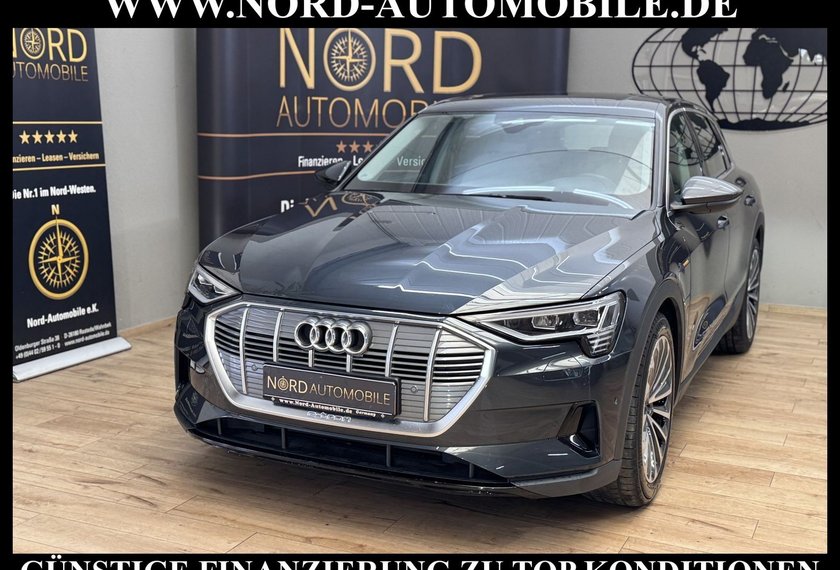 Audi e-tron e-tron 50 QU.Leder/Kamera/AHK/Panorama/21