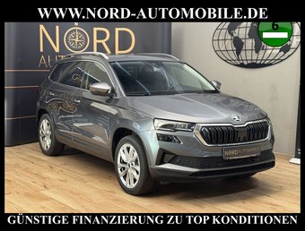 Skoda Karoq Karoq Style 2.0 TDI  Virt.Cockpit/Kamera/Navi/18