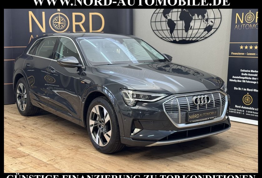 Audi e-tron e-tron advanced QU.Matrix/AHK/Kamera/Side&amp;Lane