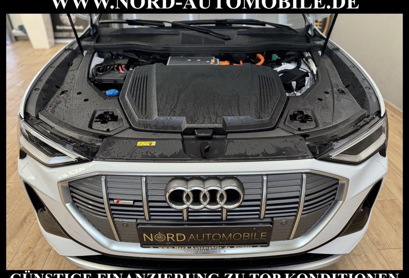Audi e-tron e-tron 50 QU.S-Line Teilleder/Kamera/20/LED