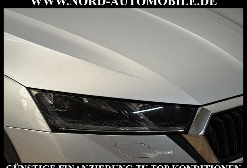 Skoda Octavia Octavia Combi 2.0 TDI Scout 4x4 AHK*DSG*HeadUp