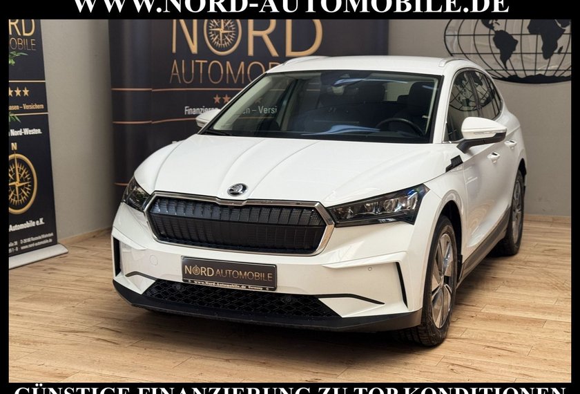 Skoda Enyaq Enyaq iV 80 Lounge Teilleder/Kamera/Wärmepump