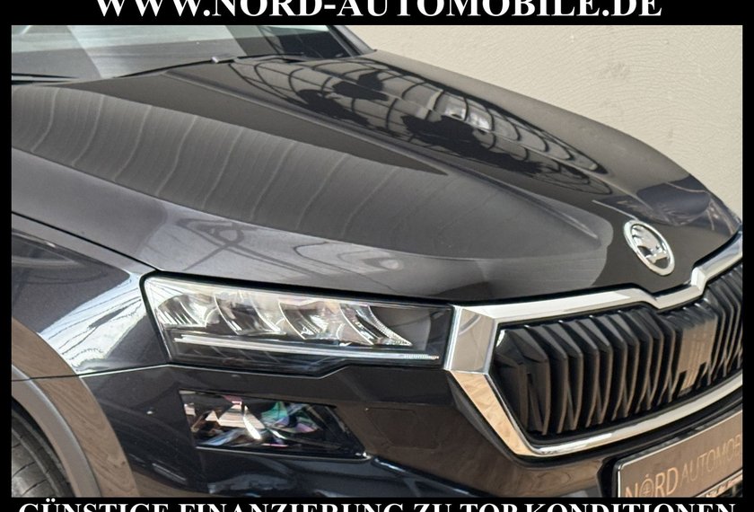 Skoda Karoq Karoq Style 2.0 TDI DSG Virt.Cockpit/Kamera/18