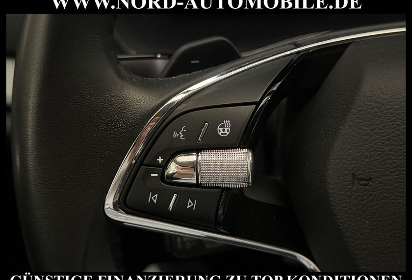 Skoda Octavia Octavia Combi Ambition 2.0 TDI DSG Navi/ACC/17