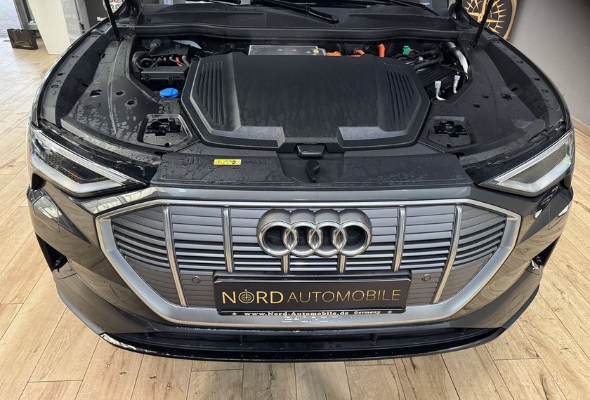 Audi e-tron e-tron 50 QU.Teilleder/Matrix/B&amp;O/ACC/Kamera