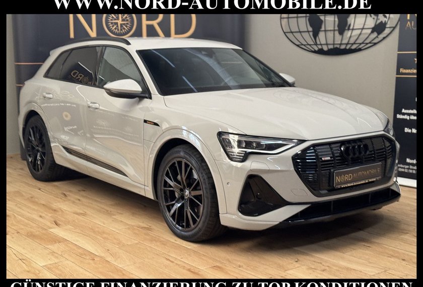 Audi e-tron e-tron 55 QU.S-Line Kamera/21/Side&amp;Lane/ACC/Navi