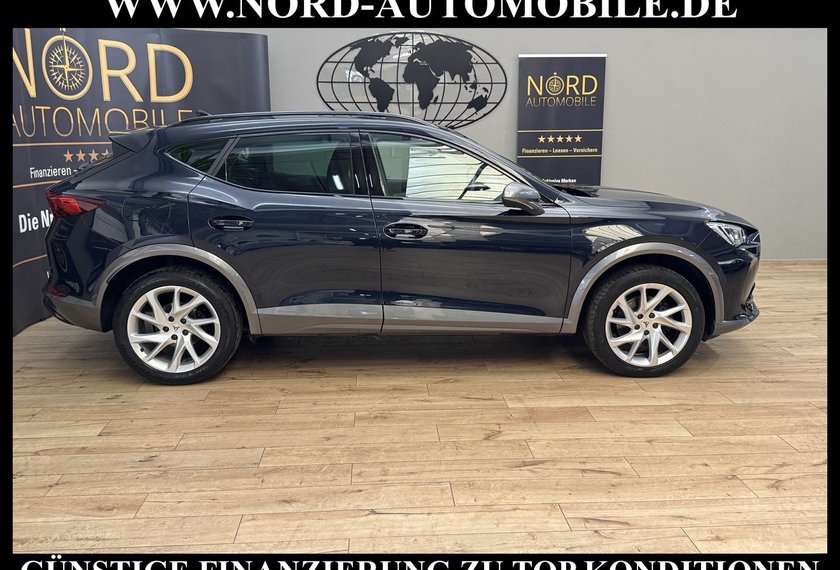 Cupra Formentor Formentor 2.0 TDI Navi/LED/Kamera/Leder/18