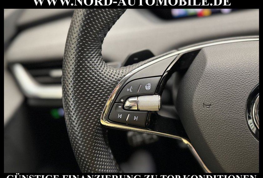 Skoda Enyaq Enyaq iV 80 Loft Automatik Kamera/Wärmepumpe/