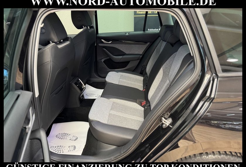 Skoda Octavia Octavia Combi TDI DSG SELECTION LODGE *360*AHK*