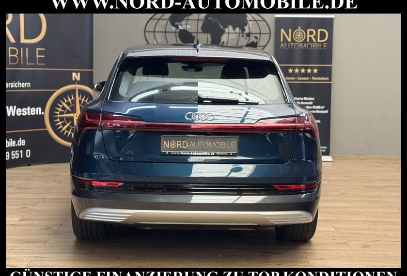 Audi e-tron e-tron 50 QU.S-Line Teilleder/Kamera/Head-Up/20