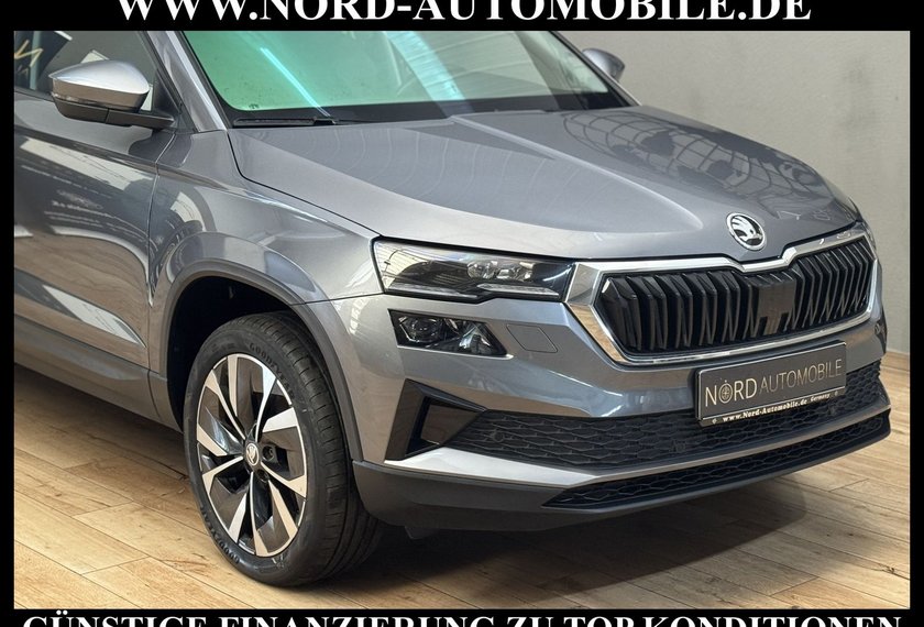 Skoda Karoq Karoq Style 2.0 TDI DSG AHK/StHz/Kamera/Virt.Coc