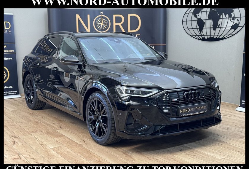 Audi e-tron e-tron S-Line QU. Optik schwarz Teilleder/Matrix