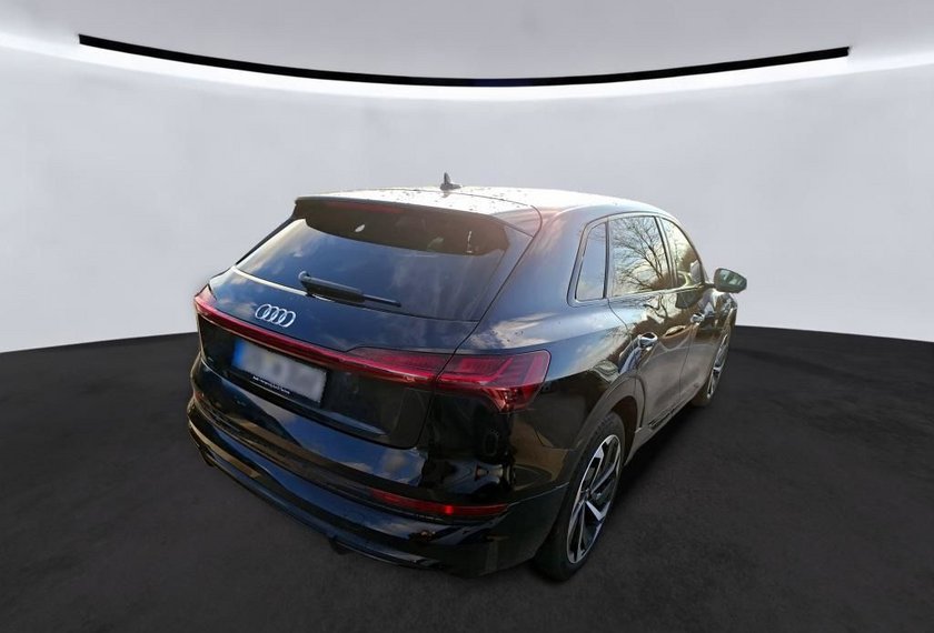 Audi e-tron e-tron 50 QU.S-Line Matrix/Kamera/21/