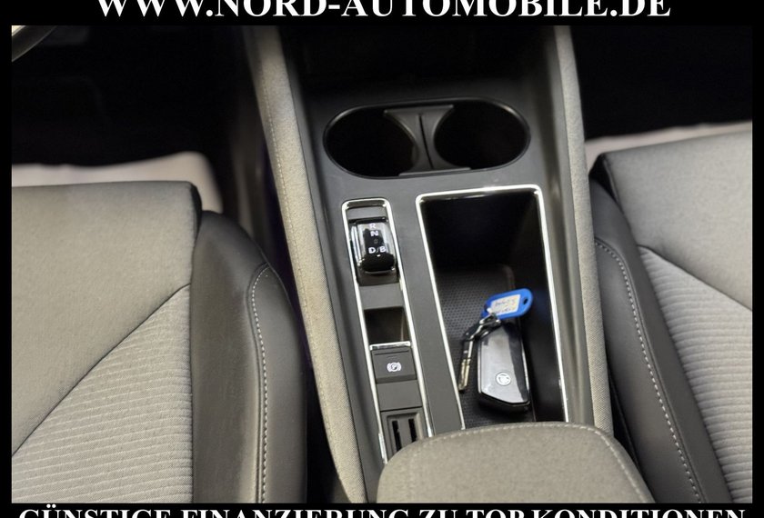 Skoda Enyaq Enyaq iV Automatik Teilleder/Kamera/20