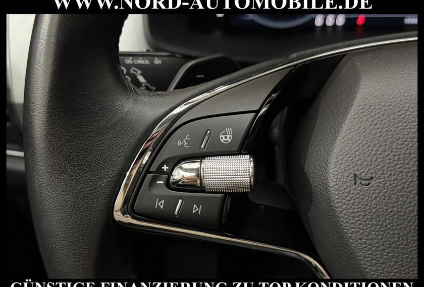 Skoda Kodiaq Kodiaq Ambition 2.0 TDI DSG Leder/AHK/Trittbrett