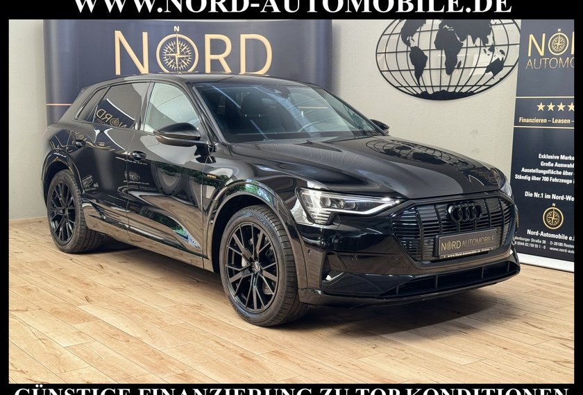 Audi e-tron e-tron 50 QU.Advanced S-Line Matrix/Kamera/21/
