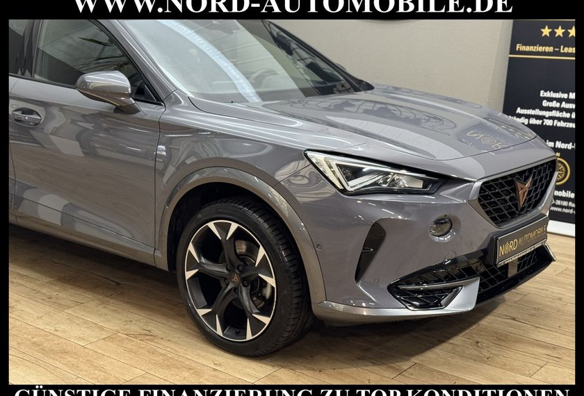 Cupra Formentor Formentor 2.0 TDI DSG Leder/Kamera/Navi/19/