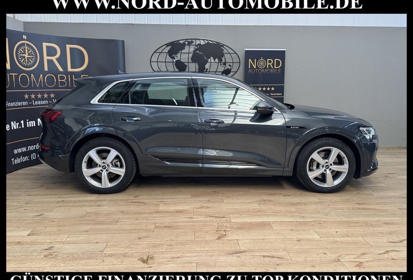 Audi e-tron e-tron 55 QU.Advanced Automatik Kamera/Navi/LED