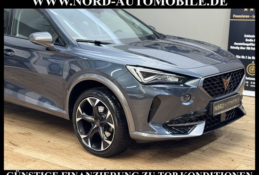 Cupra Formentor Formentor 2.0 TSI DSG Kamera/Beats/19/Navi