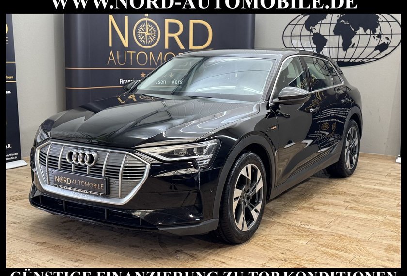 Audi e-tron e-tron 55 QU. Teilleder/AHK/Kamera/20/