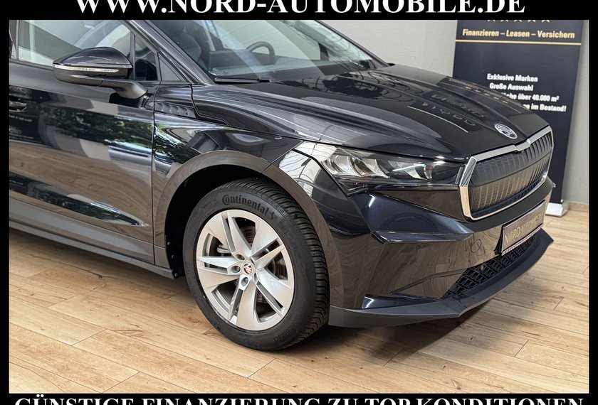Skoda Enyaq Enyaq iV 60 Loft Panorama/Kamera/Teilleder/19