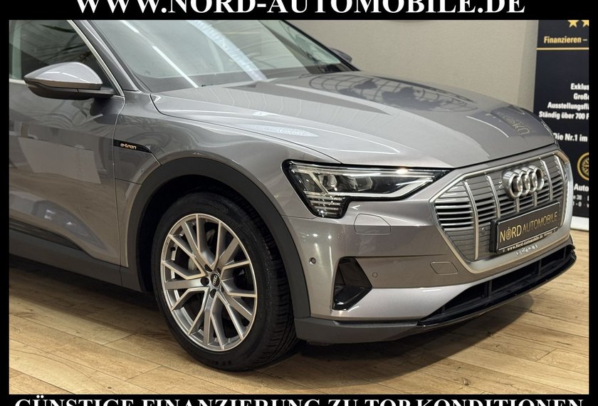 Audi e-tron e-tron QU. Teilleder/Kamera/21/Navi/LED/UPE83/