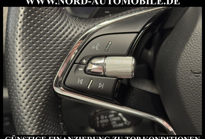 Skoda Kodiaq Kodiaq 2.0 TSI DSG Sportline 4x4 7-Sitzer/AHK/