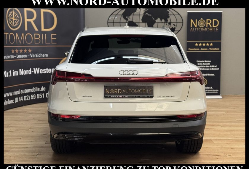 Audi e-tron e-tron 55 QU.Teilleder/Navi/LED/Side&amp;Lane/20