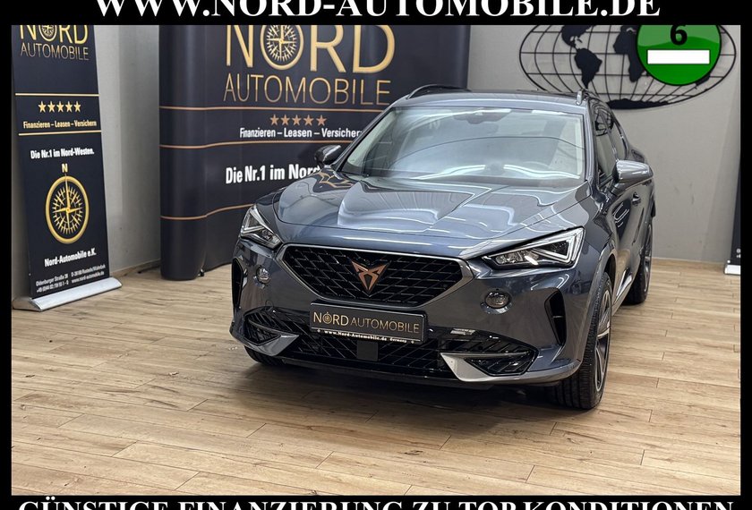 Cupra Formentor Formentor 2.0 TDI DSG AHK/StHZ/Navi/LED/Teillede