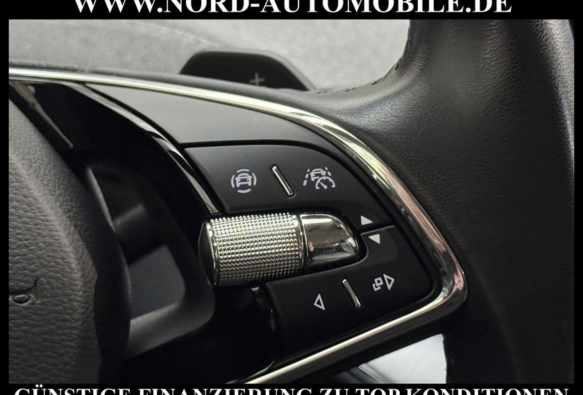 Skoda Enyaq Enyaq iV 80 Loft Wärmepumpe/AHK/Kamera/20