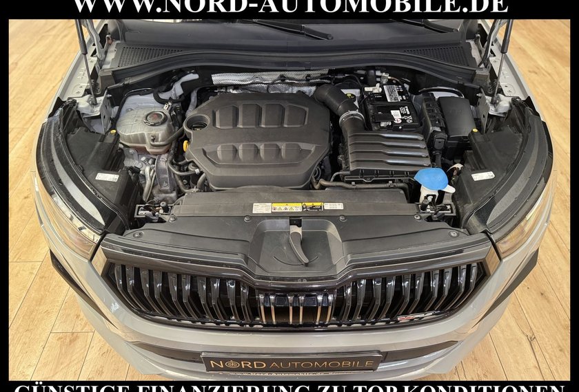 Skoda Kodiaq Kodiaq RS 2.0 TSI DSG 7-Sitzer/AHK/Pano/20