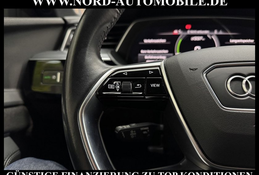 Audi e-tron e-tron 55 QU.S-Line Head-Up/Matrix/Side&amp;Lane/20