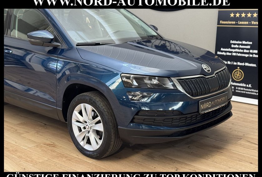 Skoda Karoq Karoq Ambition 2.0 TDI DSG Navi/PDC/SHZ/17