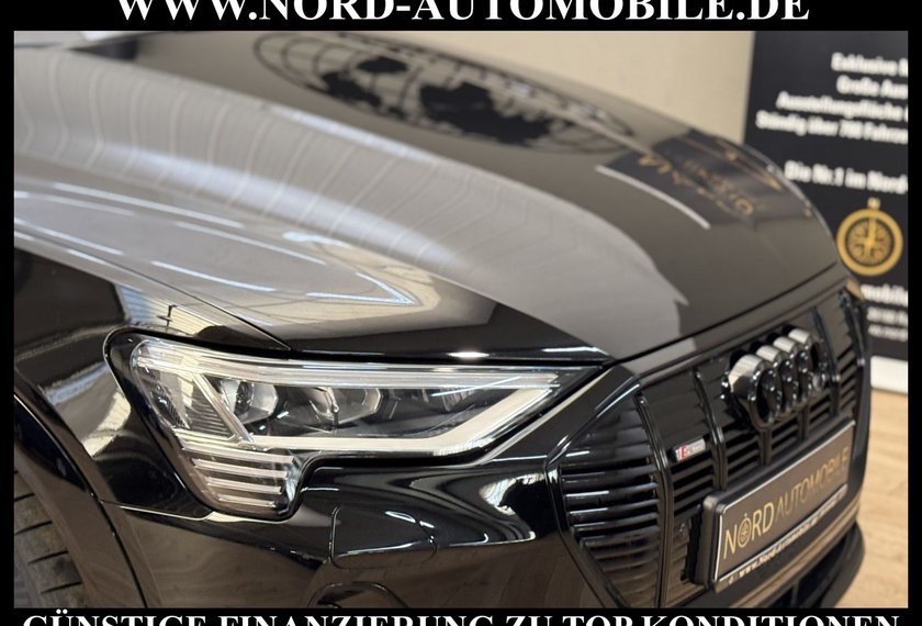 Audi e-tron e-tron S-Line QU. Optik schwarz Teilleder/Matrix