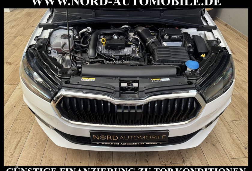 Skoda Fabia Fabia Ambition 1.0 TSI LED/Klima/PDC/15
