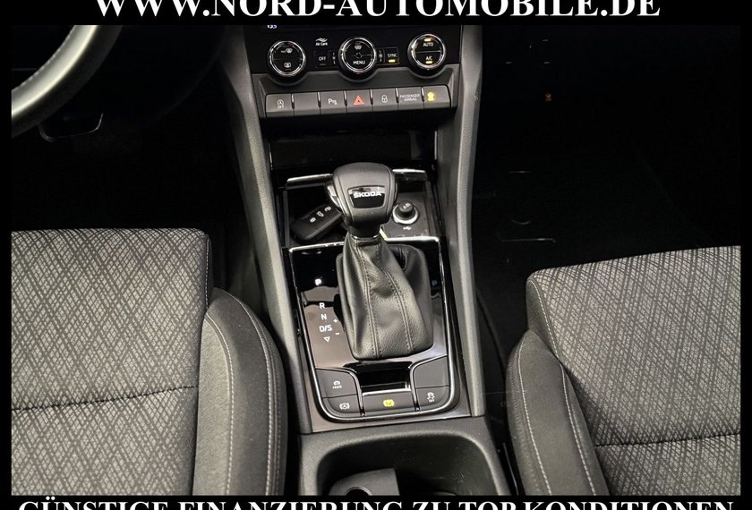 Skoda Karoq Karoq Style 2.0 TDI DSG Virt.Cockpit/Kamera/18