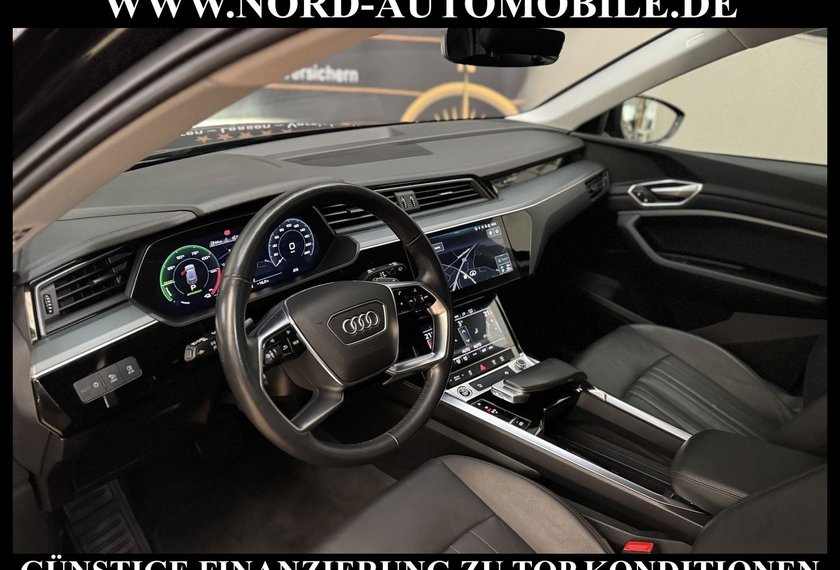 Audi e-tron e-tron 50 QU. S-Line Leder/Navi/LED/21/