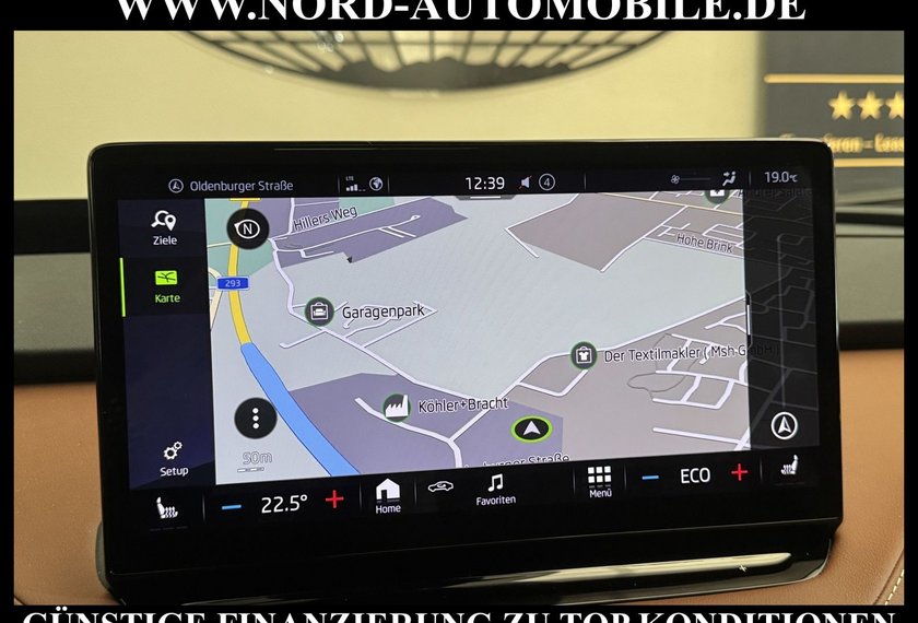 Skoda Enyaq Enyaq iV 80 ecoSuite Leder/Head-Up/Pano/21/AHK/
