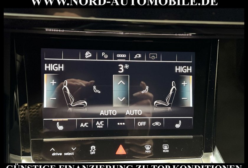 Audi Q8 e-tron Q8 e-tron Sportback S-Line Leder/Kamera/Navi/20